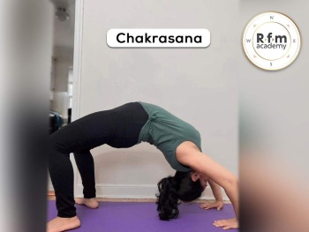 Chakrasana Yoga Back Bending Asanas Pose